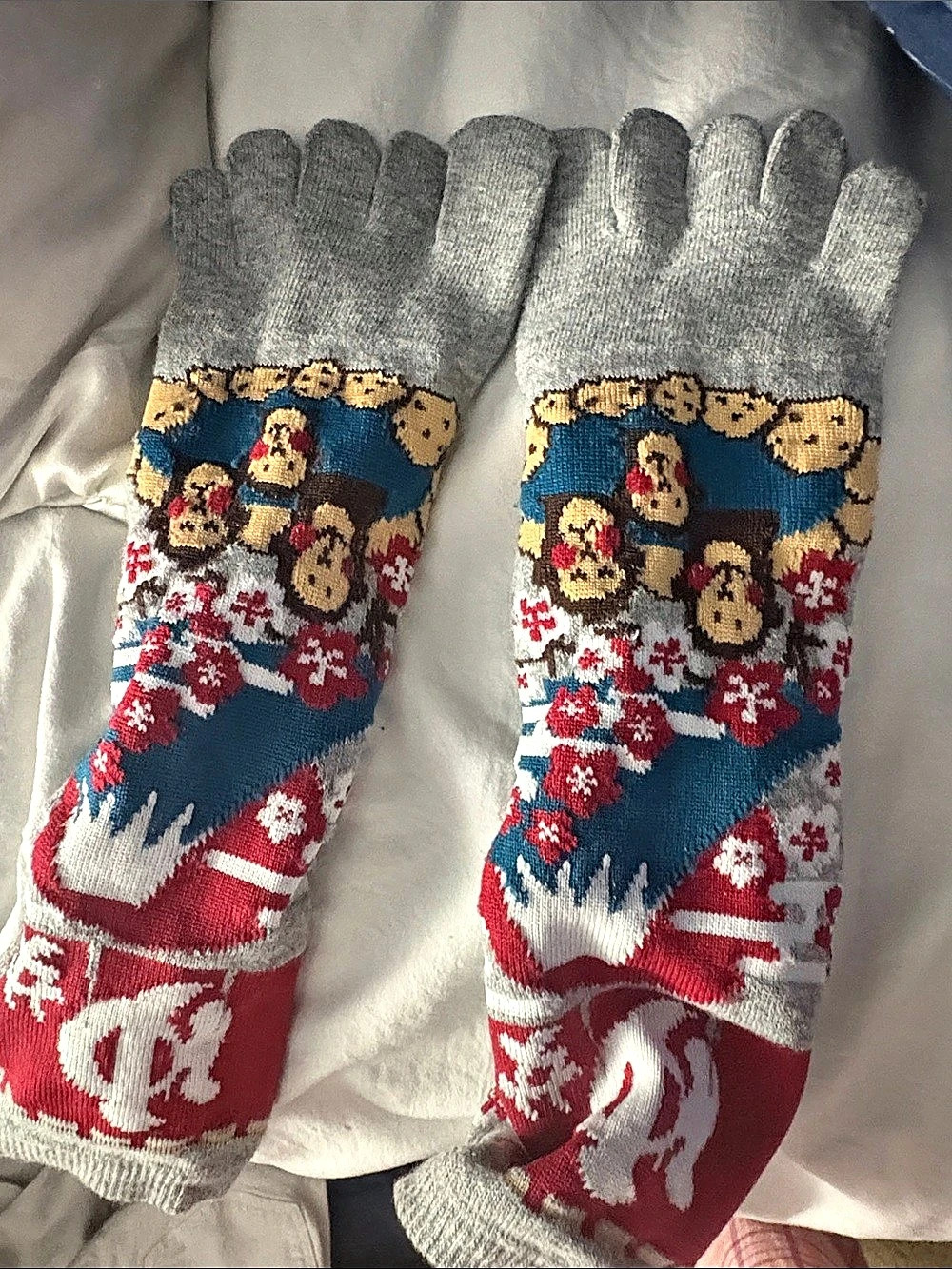 Gray & Red Patterned Gloves